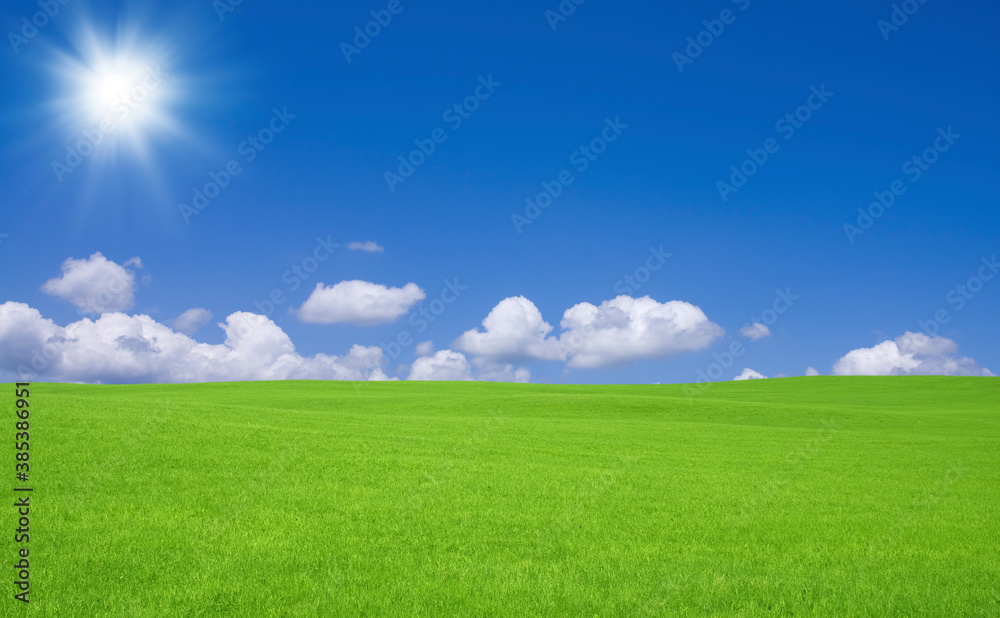 Fototapeta premium 緑の草原と雲と太陽