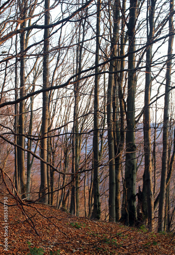 polskie góry, Bieszczady