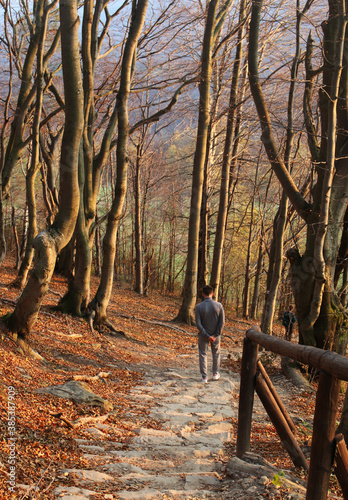 polskie góry, Bieszczady