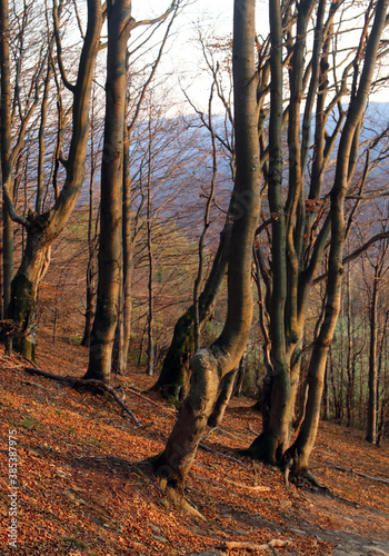 polskie góry, Bieszczady