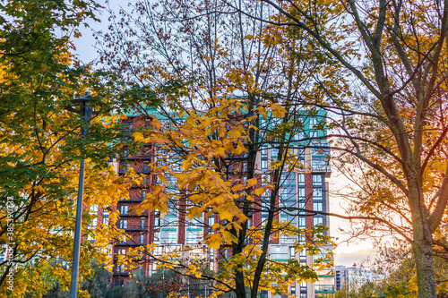 Autumn Urban Landscape and building in Hightech Architecture. yellowed leaves of trees fall innovation park