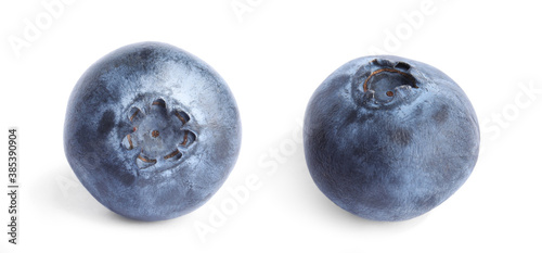 Two fresh whole blueberries on white background