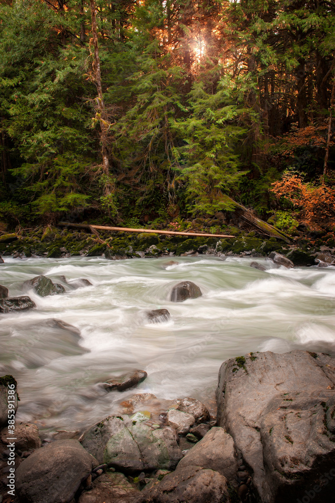 Fall Colors Along the Nooksack River in this Pacific Northwest Rain Forest. Silky smooth water, reds and yellows, dominate the landscape of this Washington state destination near Mt. Baker, Washington Fall Colors Along the Nooksack River in this Pacific Northwest Rain Forest. Silky smooth water, reds and yellows, dominate the landscape of this Washington state destination near Mt. Baker, Washington
