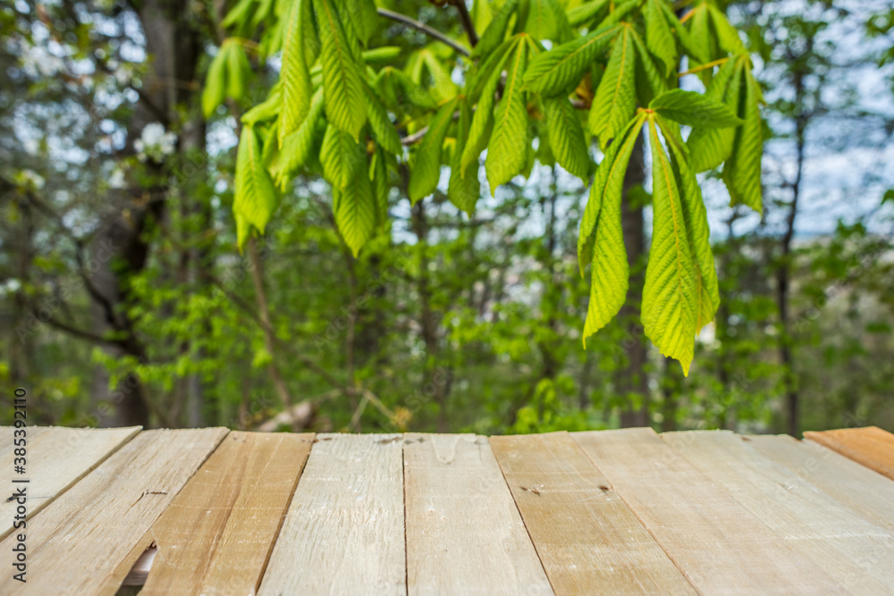 Obraz premium Simply wooden empty with lots of free space on the wooden table. Springtime blurred background with green leaves wooden planks.