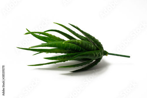 Fake unpotted cactus or aloe vera plant isolated on a white background. photo