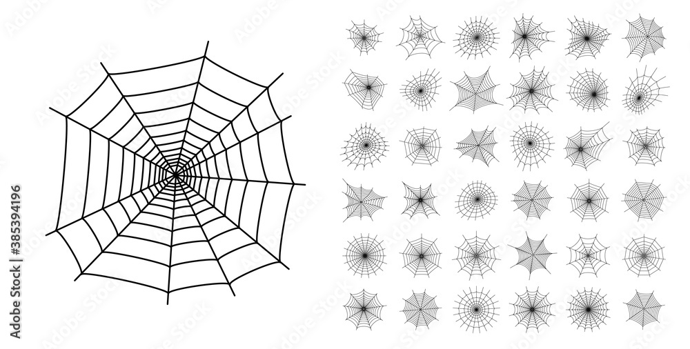 Obraz premium Spider web concept
