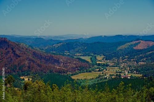 primavera en el cerro