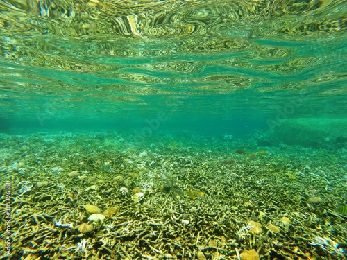 aguas cristalinas