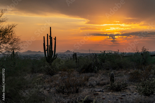 Phoenix Sunset © tyler