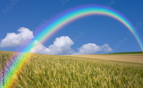 麦畑と雲と虹