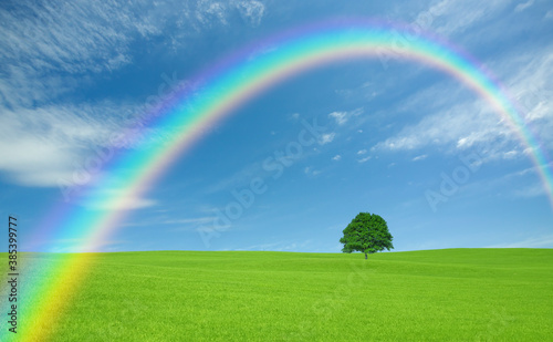 草原の一本木と雲と虹