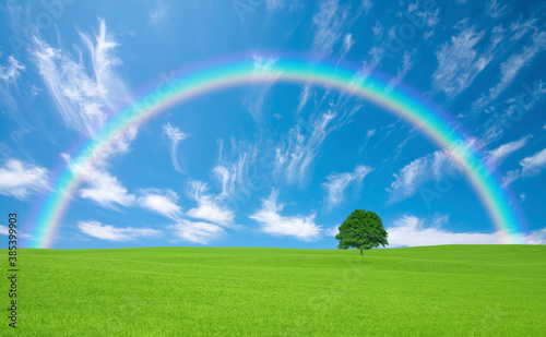 草原の一本木と雲と虹