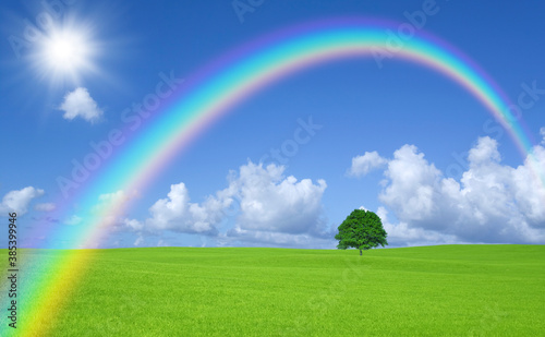 草原の一本木と雲と太陽と虹