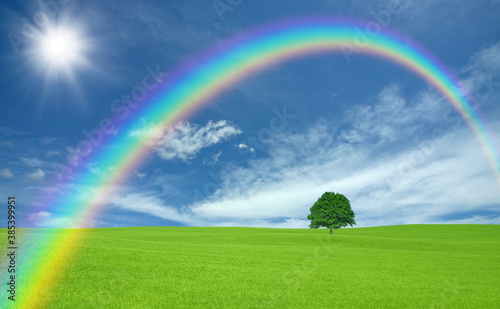草原の一本木と雲と太陽と虹 © Paylessimages