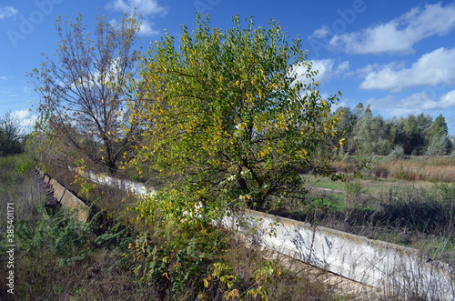 Broken concrete.Abandoned huge Soviet milk farm remains. Kiev Region