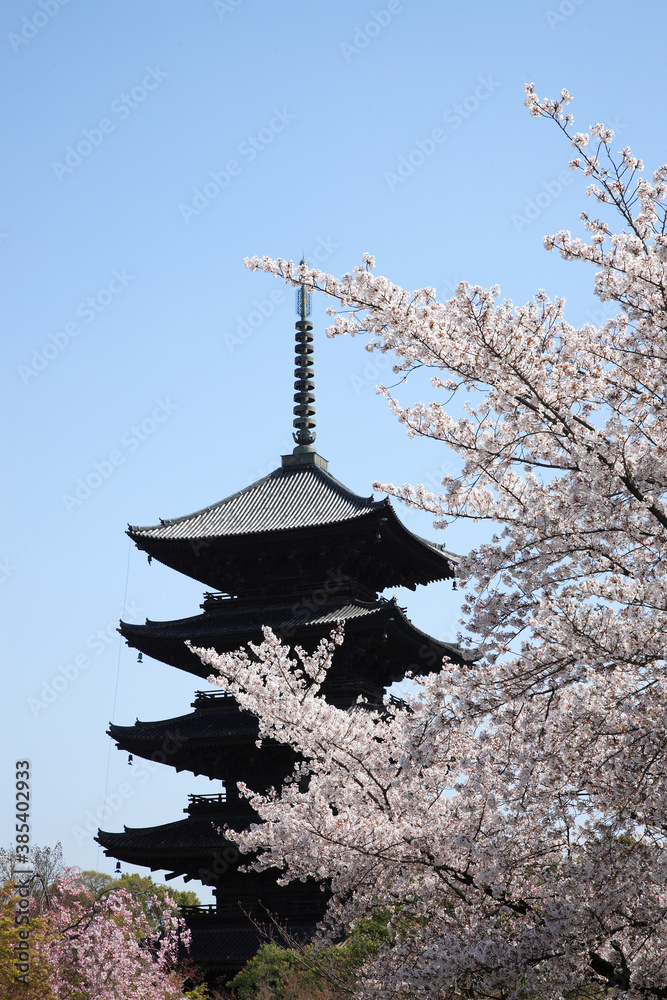 桜咲く東寺