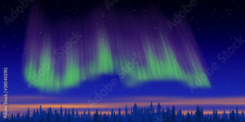 Fantasy on the theme of the northern landscape. Dusk and polar lights. Vector illustration  EPS10