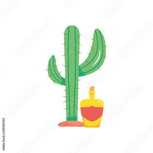 cactus and tequila bottle, flat style photo