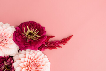 Zinnia and Dahlia flower flat lay with copy space on vibrant background