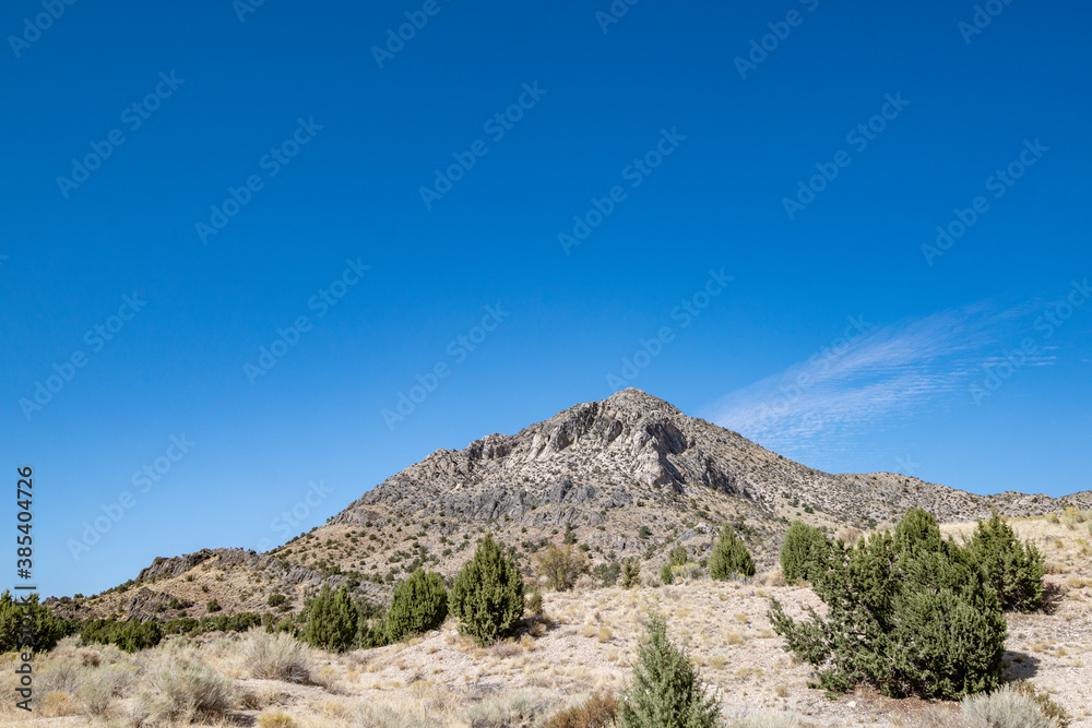 The Oak Springs Trilobite Site is a Bureau of Land Management rockhounding destination along highway 93 outside Caliente, Nevada where visitors can dig their own fossils.