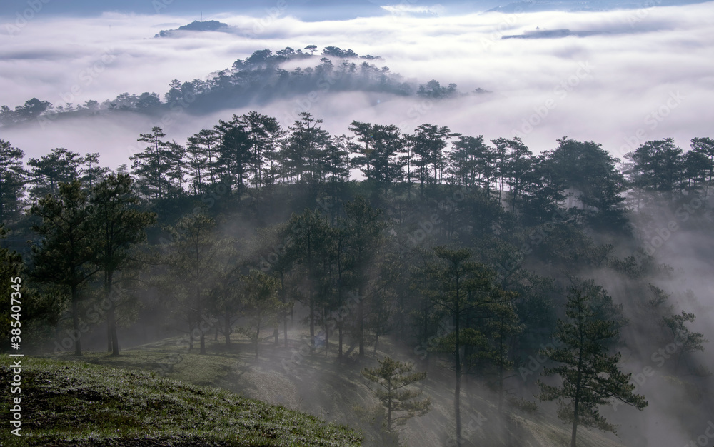 Fototapeta premium fog over the mountains