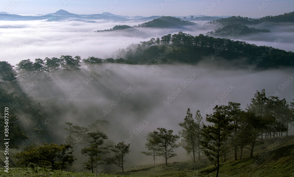 fog in the mountains