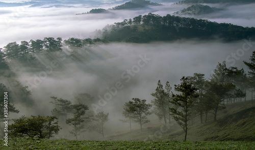 fog in the forest © DonGiang