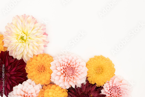 Fotobehang Vibrant dahlia floral flat lay with copy space