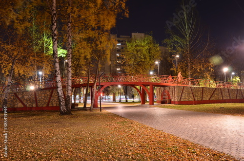 Bicycle bridge at night park in autumn