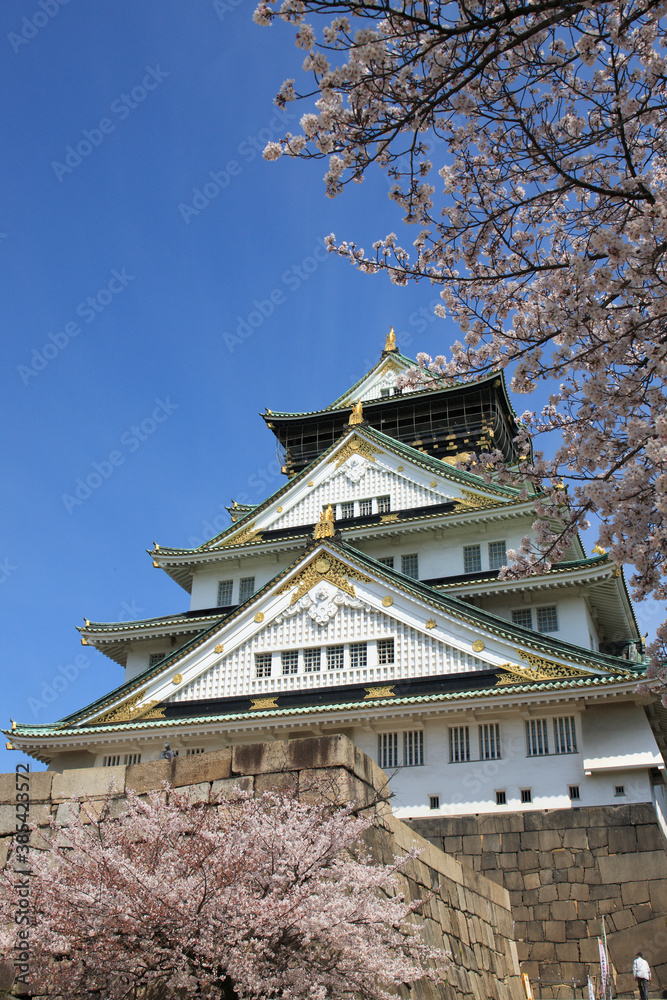 大阪城と桜