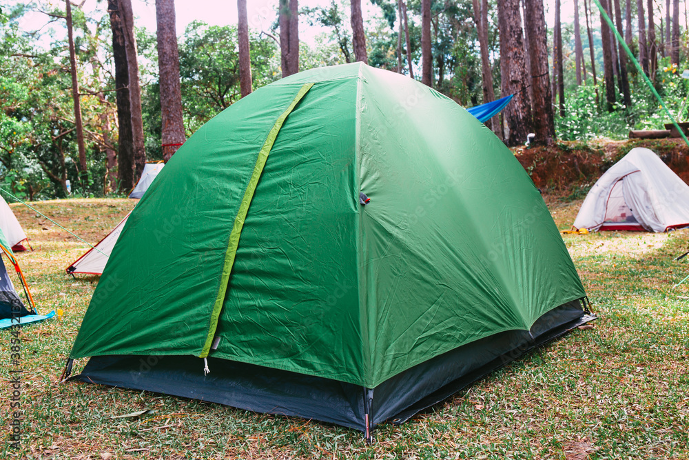 Camping tent in pine tree forest mountain. in green color.