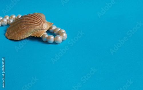 Marine layout. Shell and pearl beads on a blue background.