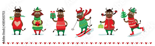 Chinese new year of white ox 2021 zodiac - vector set bulls or cows, flat cartoon animals for holiday cards, posters and home decorations, cute characters with for luck isolated on white background.