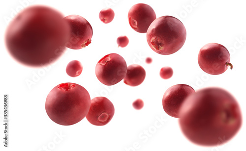 Bilde på lerret Red cranberry berries levitate on a white background