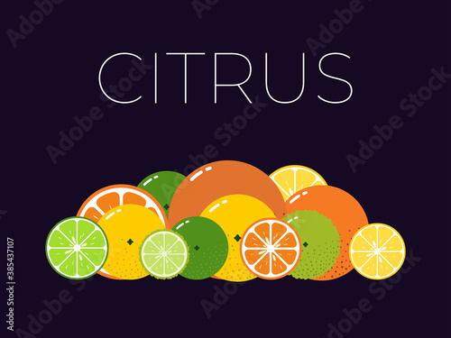 Vector Citrus Fruits pack and sliced half of Citrus on dark background
