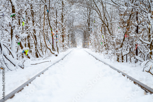 a railway in the winter forest tunnel of love