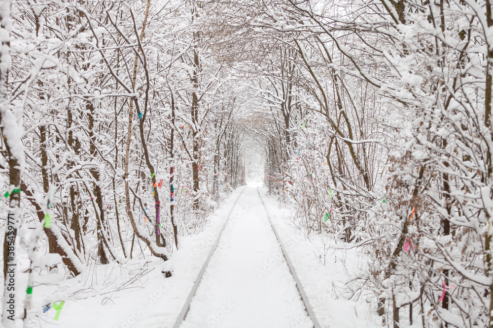 Fototapeta premium a railway in the winter forest tunnel of love
