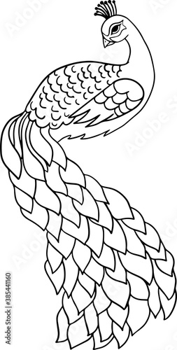 Vector cartoon peacock.Cute little peacock character, hand drawn vector illustration.Educational Game for Kids.Can be used for t-shirt print, kids wear, baby shower, nursery.