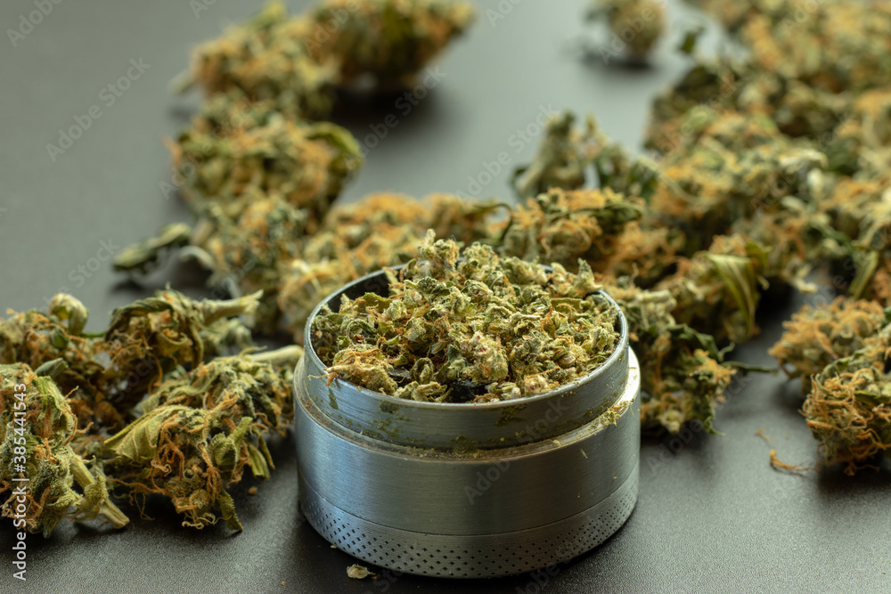 Grinder closeup with crumbled marijuana and cannabis buds in the background Grinder closeup with crumbled marijuana and cannabis buds in the background