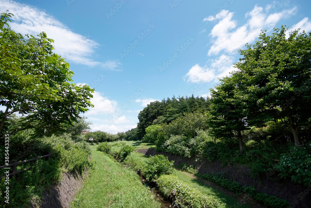 東山ふれあい樹林(横浜市瀬谷区宮沢) 東山ふれあい樹林(横浜市瀬谷区宮沢)
