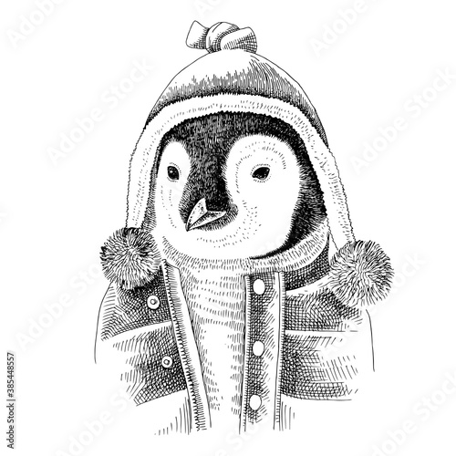 Hand drawn dressed up penguin in hipster style