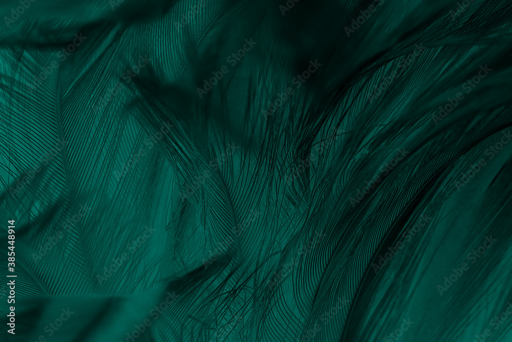 Fototapeta Beautiful dark green viridian vintage color trends feather texture background