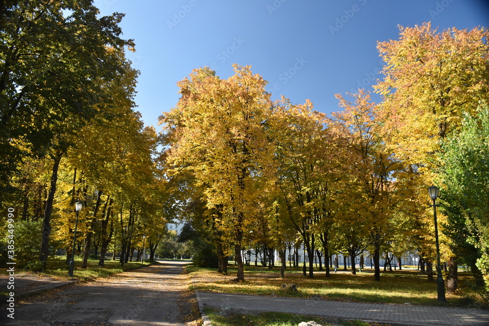A sunny day in the autumn park. Early Autumn, October, Ukraine, Kharkiv