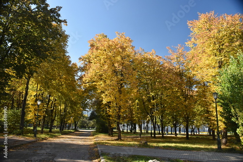 A sunny day in the autumn park. Early Autumn, October, Ukraine, Kharkiv
