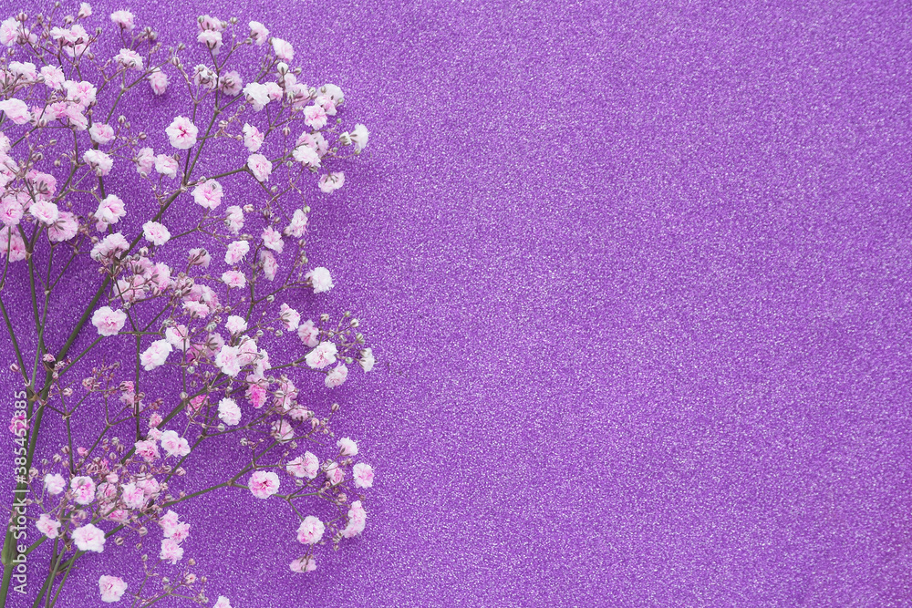 Obraz premium a branch of pink gypsophila on lilac bles. copy space..