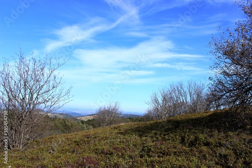 In der Rhön