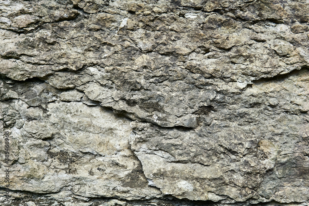 background, texture - rough gray limestone rock background, texture - rough gray limestone rock