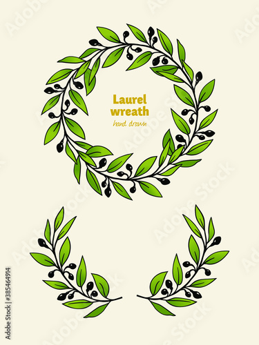 Laurel Bay wreath, leaves, branches and fruits detailed hand drawn vector illustration 
