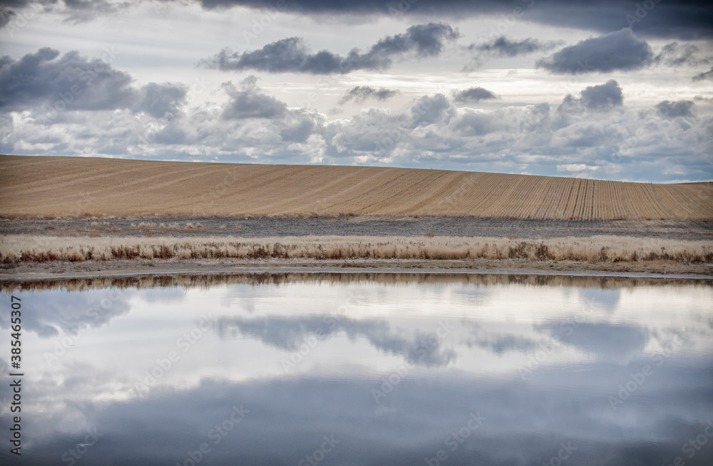 Prairie landscape with water reflection