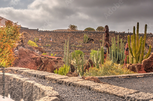 Cactus garden in Lanzarote, HDR Image